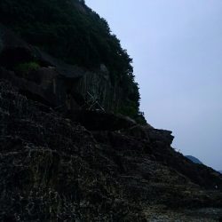 鬼ヶ城のおシオさん