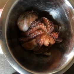 朝一オクトパッシング