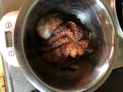 朝一オクトパッシング