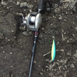 夏のNOVELゲーム開催