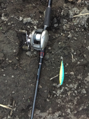 夏のNOVELゲーム開催