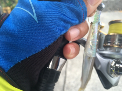 初めてのカマス