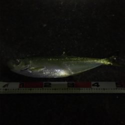 全く知らなかったです。