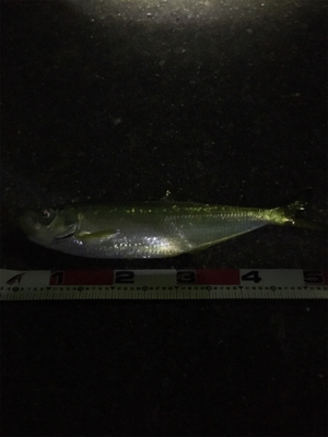 全く知らなかったです。