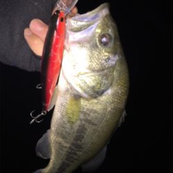 巻き巻きウキウキ