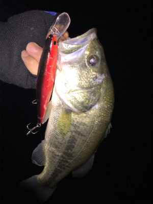 巻き巻きウキウキ