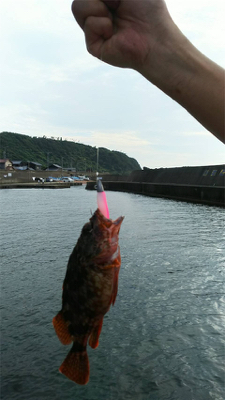 よくひきました