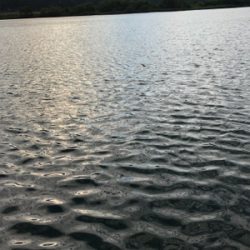 久しぶりの釣果となりました。