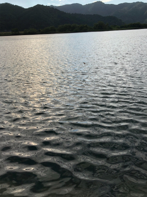 久しぶりの釣果となりました。