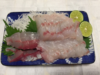 落とし込みサビキ  鳴門  まるかつ