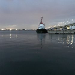 チャリコ祭りだ！