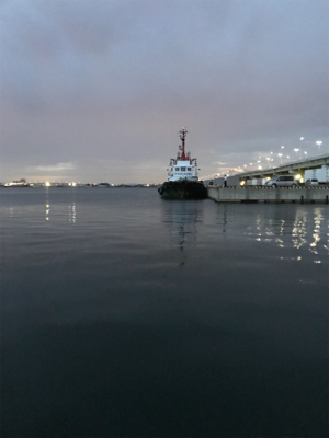 チャリコ祭りだ！