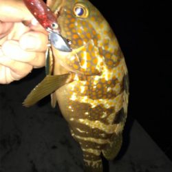 オヤジ達の釣り旅行2日目