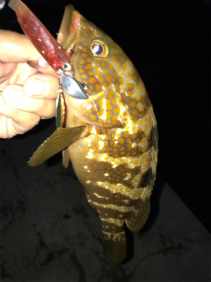 オヤジ達の釣り旅行2日目