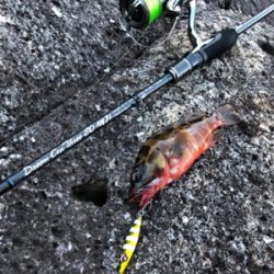 マイクロジグで朝一だけ