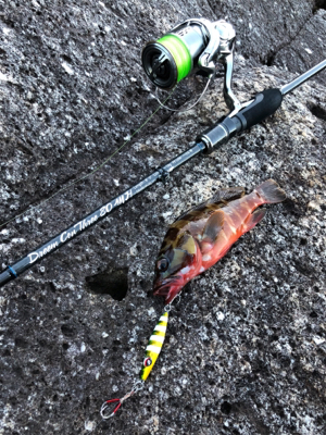 マイクロジグで朝一だけ