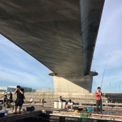 貝塚でサビキからの田尻の釣堀。