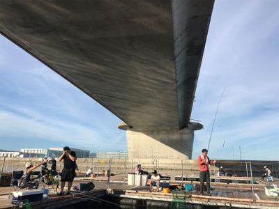 貝塚でサビキからの田尻の釣堀。