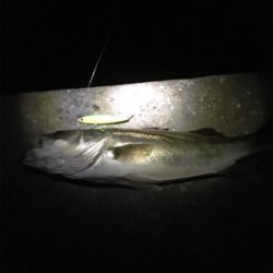 厳しい中でも…