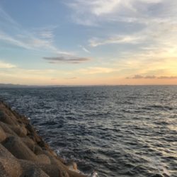 何でこうなるの？（笑）