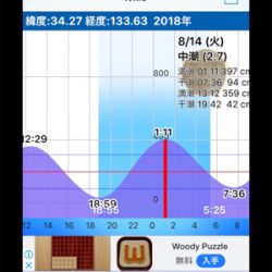 キジハタゲーム