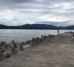 チョイ投げ五目釣り