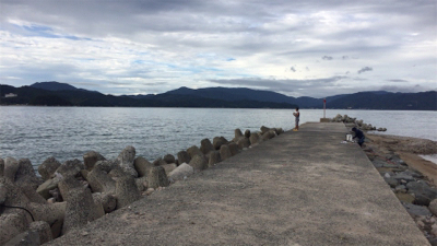 チョイ投げ五目釣り