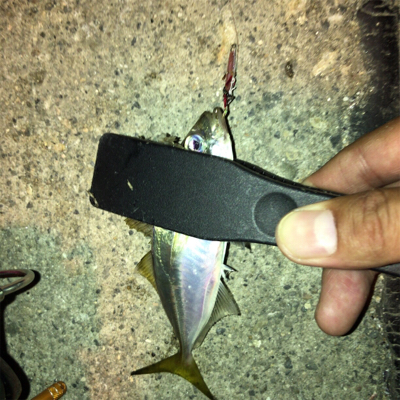 ナイトアジング