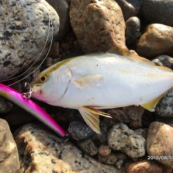 トップゲーム❷