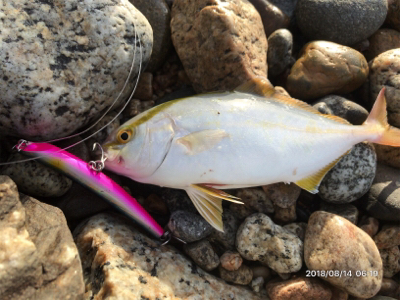 トップゲーム❷