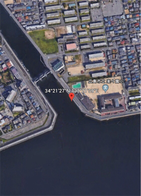 高活性チニング