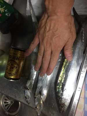 釣れてると情報を見て！