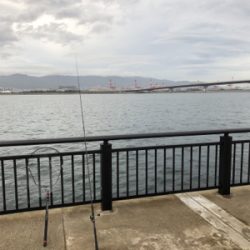 キバ族のシーズン