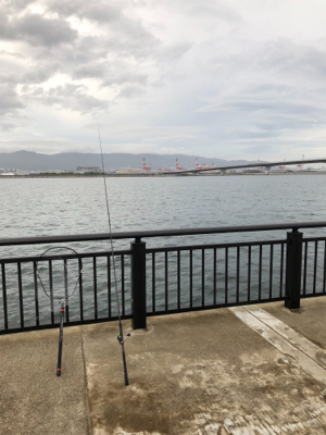 キバ族のシーズン