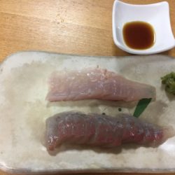 シオ回ってます