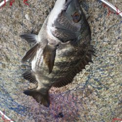 魚の活性が高い！