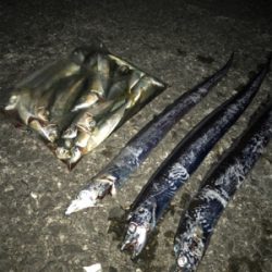 激渋の長期戦の末