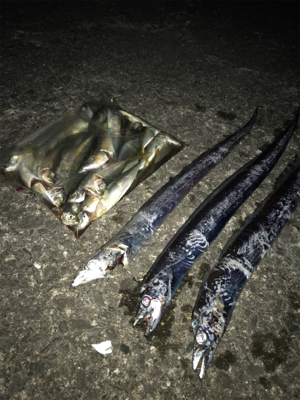 激渋の長期戦の末