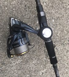 足元シーバスと…