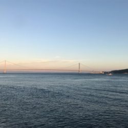 ケンサキ調査 結局ガシリング