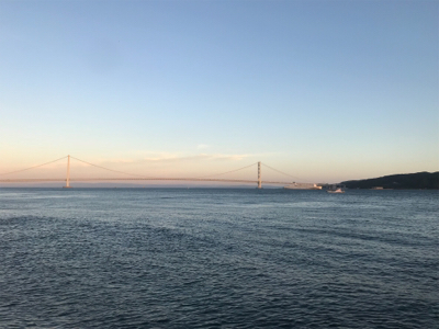 ケンサキ調査 結局ガシリング