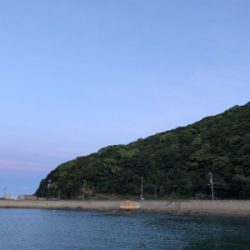 アタリが小さい