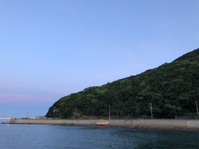 アタリが小さい