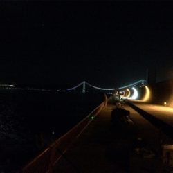 平磯ナイターでカゴ釣り