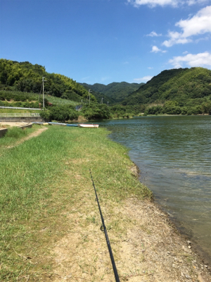 2か月ぶりの桜池