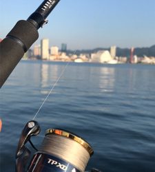 ヘッドハングドチーコシ