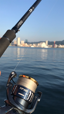 ヘッドハングドチーコシ