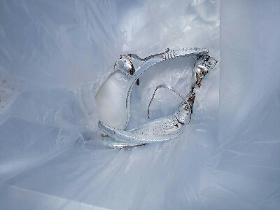 サゴタチちゃいちー