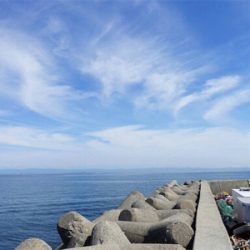 大サバ狙いからのカマス、ミニバス