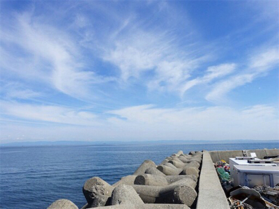 大サバ狙いからのカマス、ミニバス